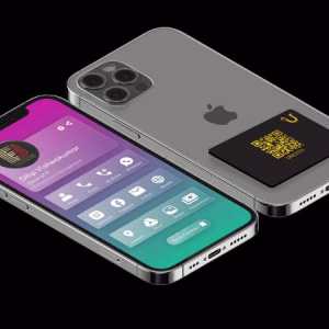 WhatsApp Image 2024-08-19 at 14.55.52